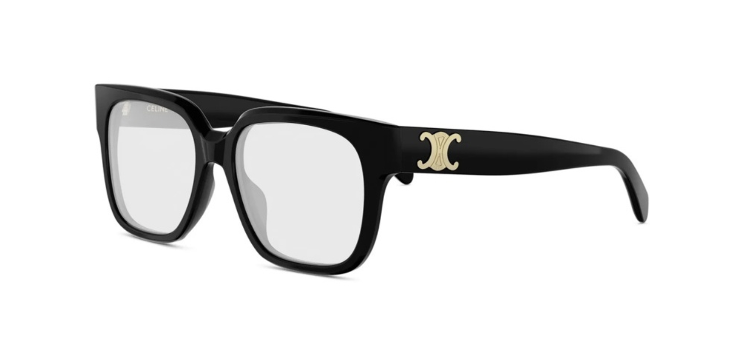Celine CL50172I 001