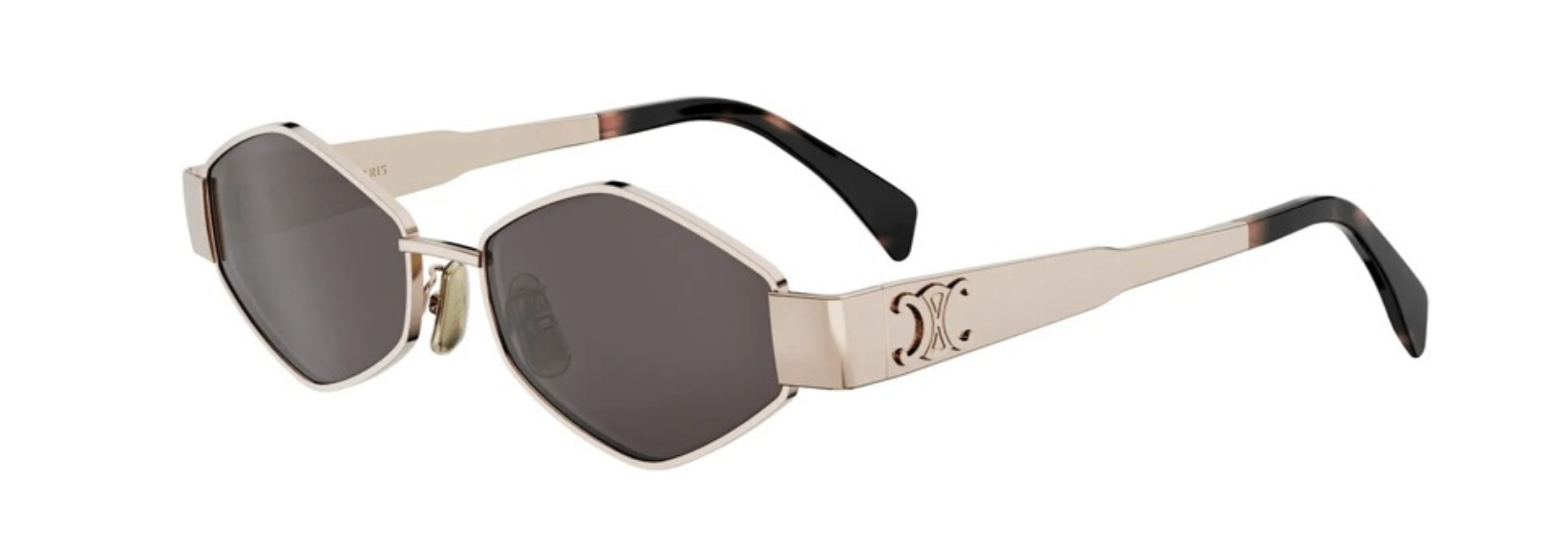 Celine CL40254U 28A